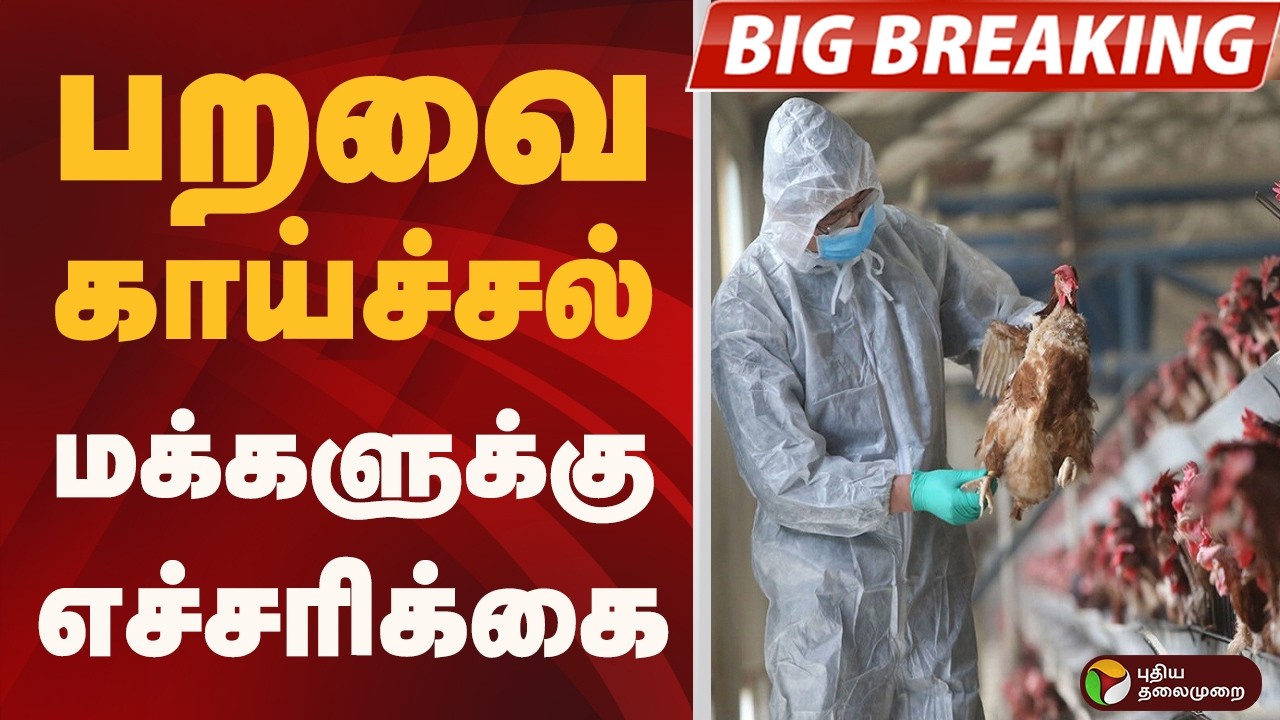 #BIGBREAKING: பறவை காய்ச்சல்.. மக்களுக்கு எச்சரிக்கை | Bird flu