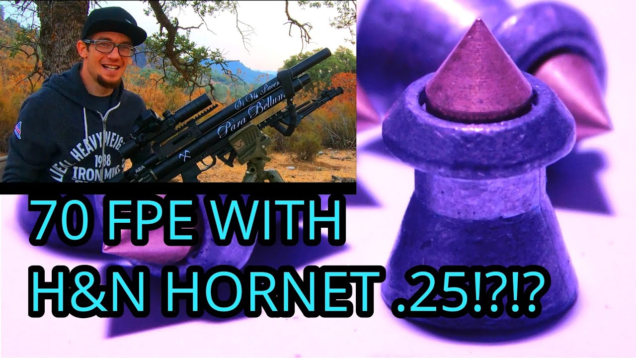 AEA HP .25 BULLPUP VS. 