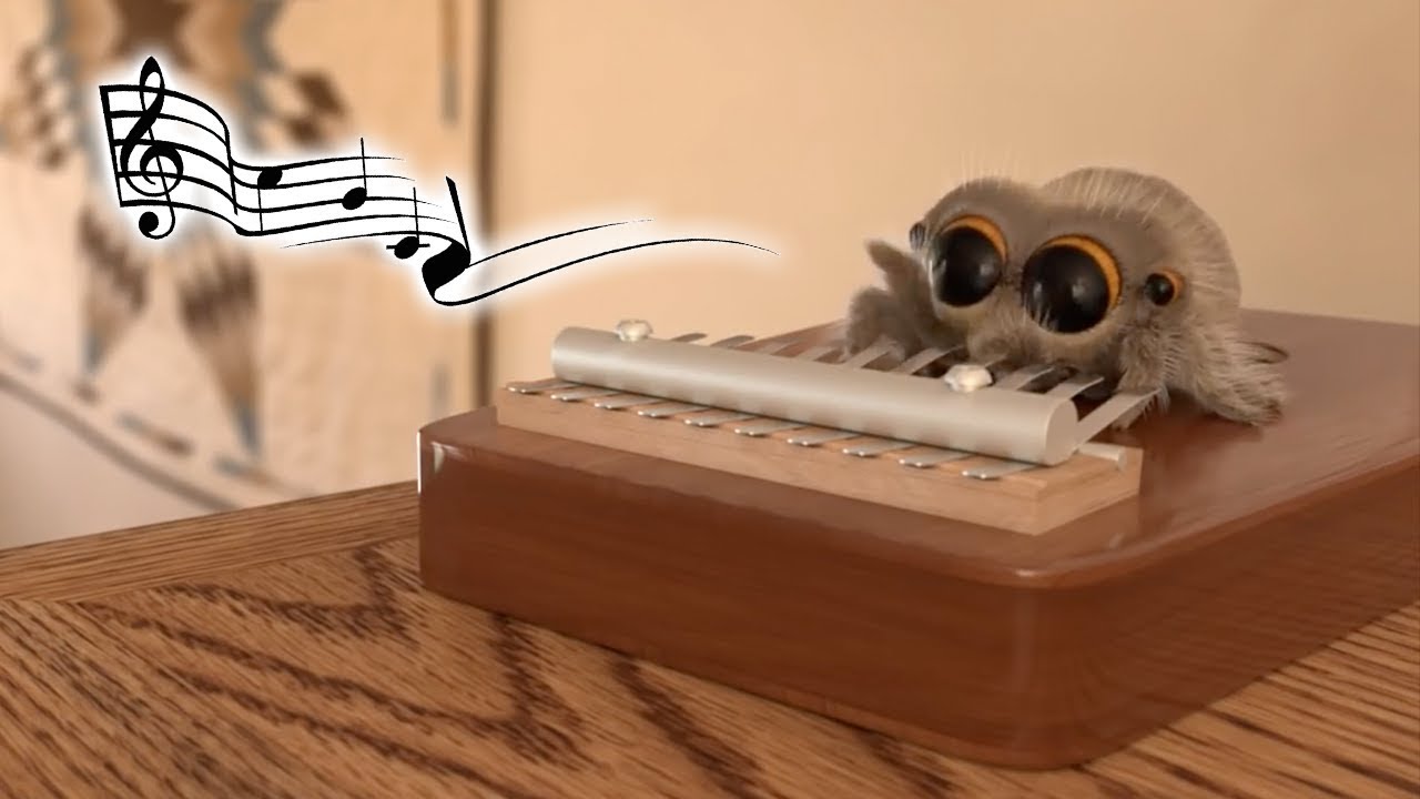 The world's most musical spider