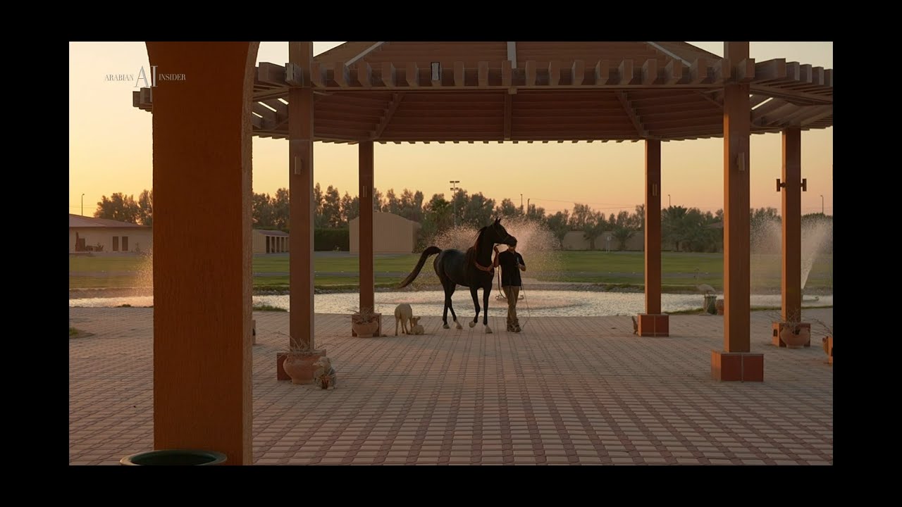 ⚜️ ALGHANAYIM STUD ⚜️⁣ - A CLOSER LOOK AT THE FARM