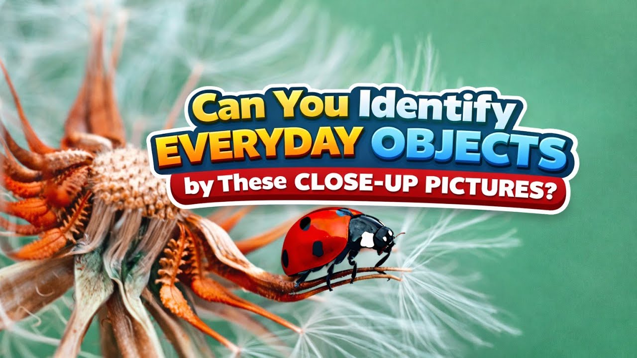 Can you identify everyday objects by these close up pictures?