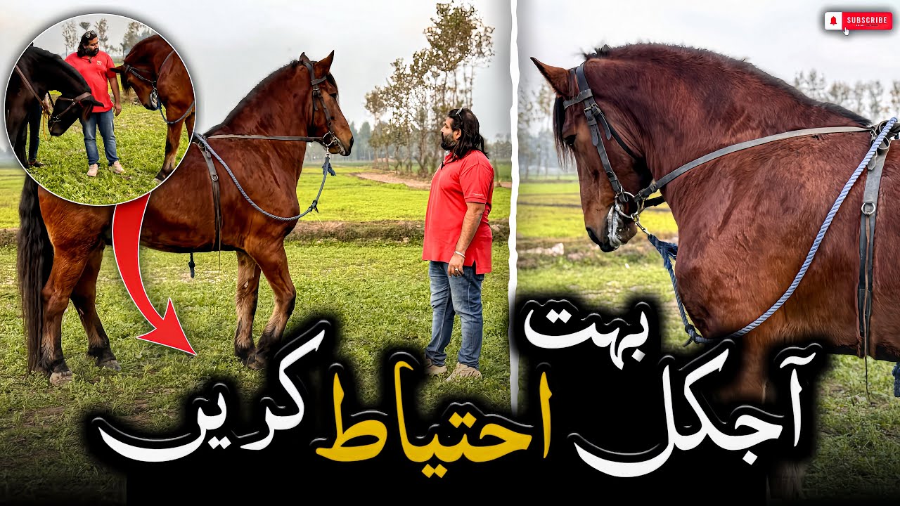 بچت ہو گئی آپ بھی خیال کریں 🙏🏼