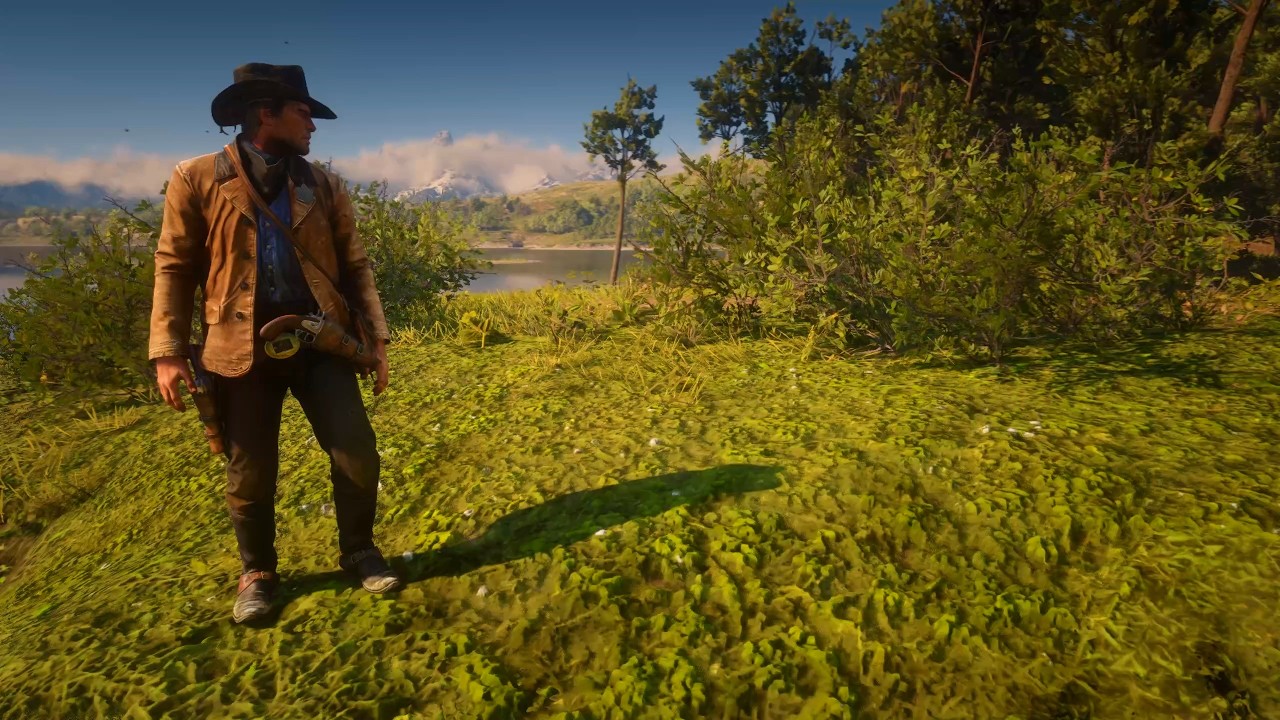 Red Dead Redemption 2