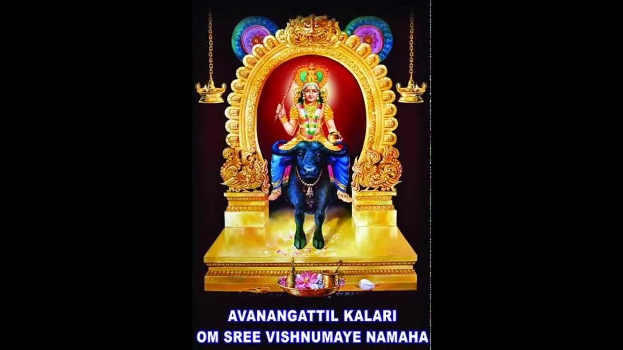 തൊഴുതിട്ടും തൊഴുതിട്ടും മതിവരുന്നില്ലലോ വിഷ്ണുമായ  #vishnumaya #vishnumayaswami #vishnumayatemple