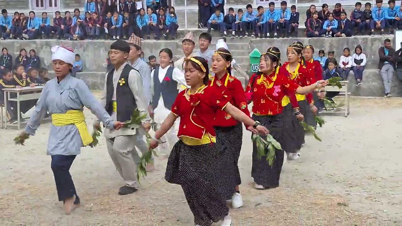 Birendra jyoti secondary school ( sotang)
