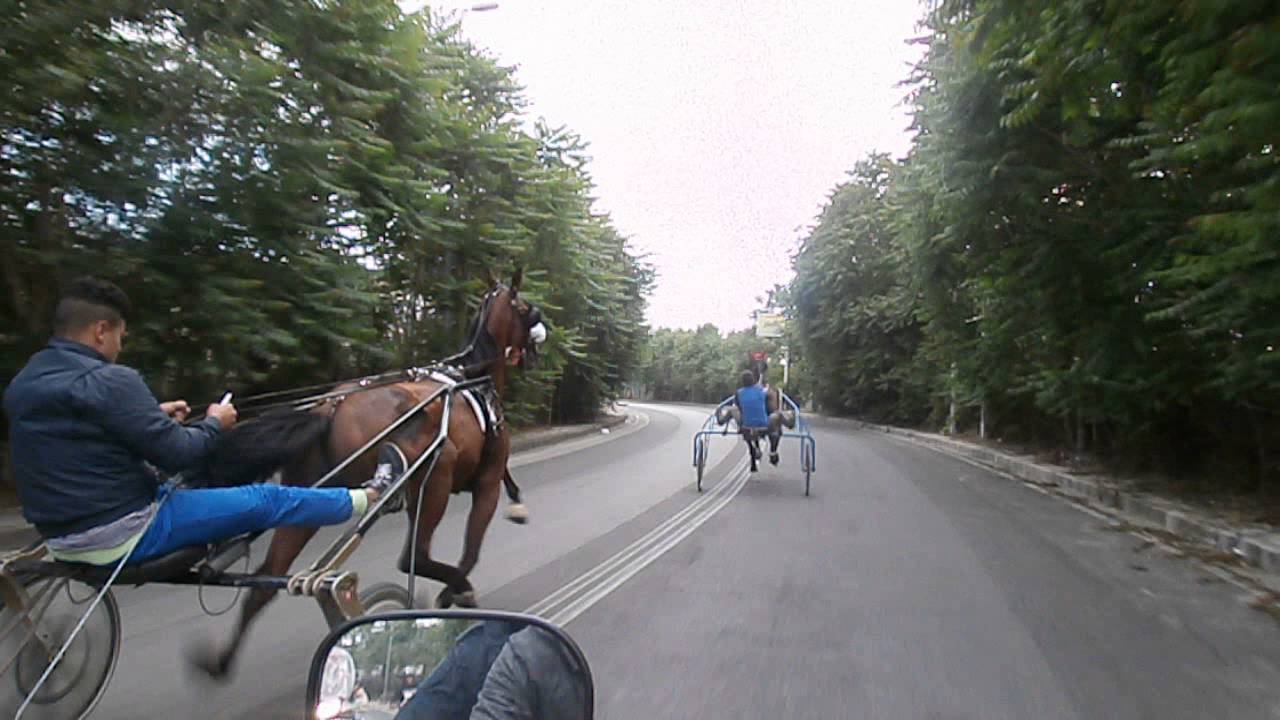 corsa arzano