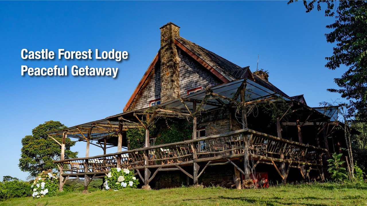 Peaceful Getaway at Castle Forest Lodge