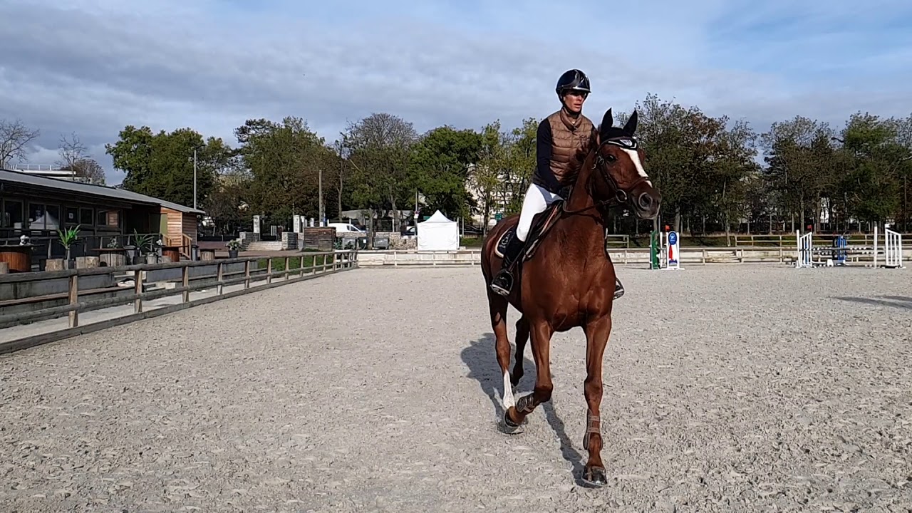 Code QR.3 : Position en équilibre, à l'arrêt, au trot et au galop
