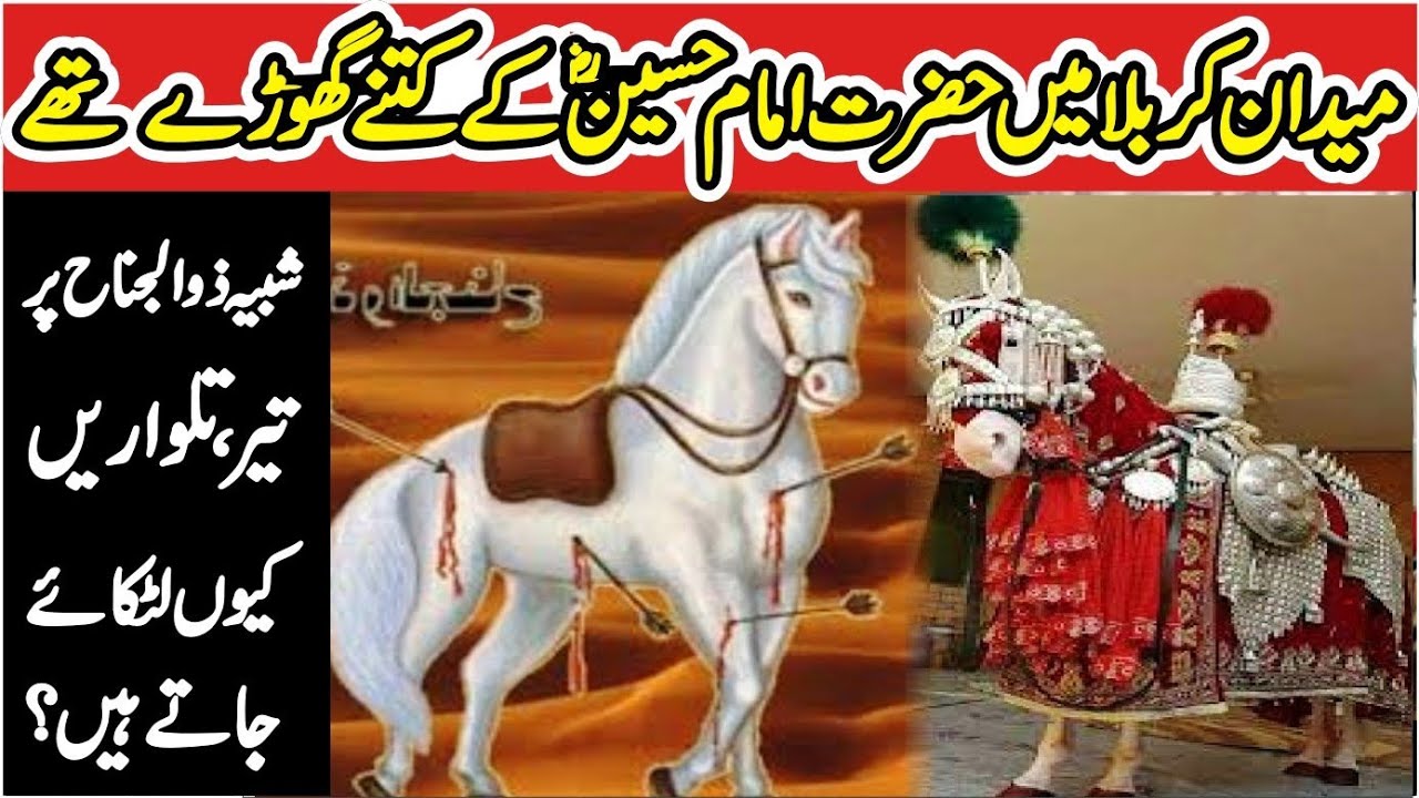 Sarkar-e-Zuljinah|| Karbala Mai Imam Hussain Ka Zuljinah || Zuljanah Ka Mojza Murtajiz & Dul Dul