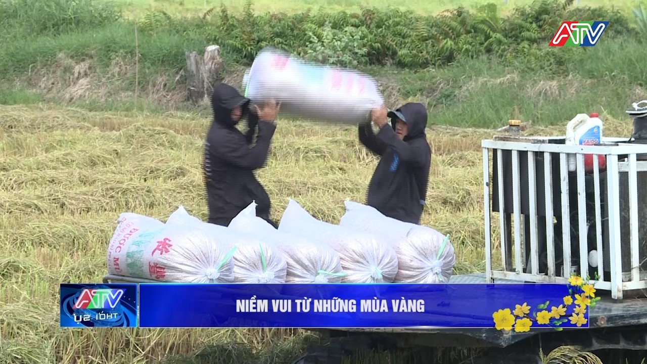 Niềm vui từ những mùa vàng | Truyền hình An Giang 2