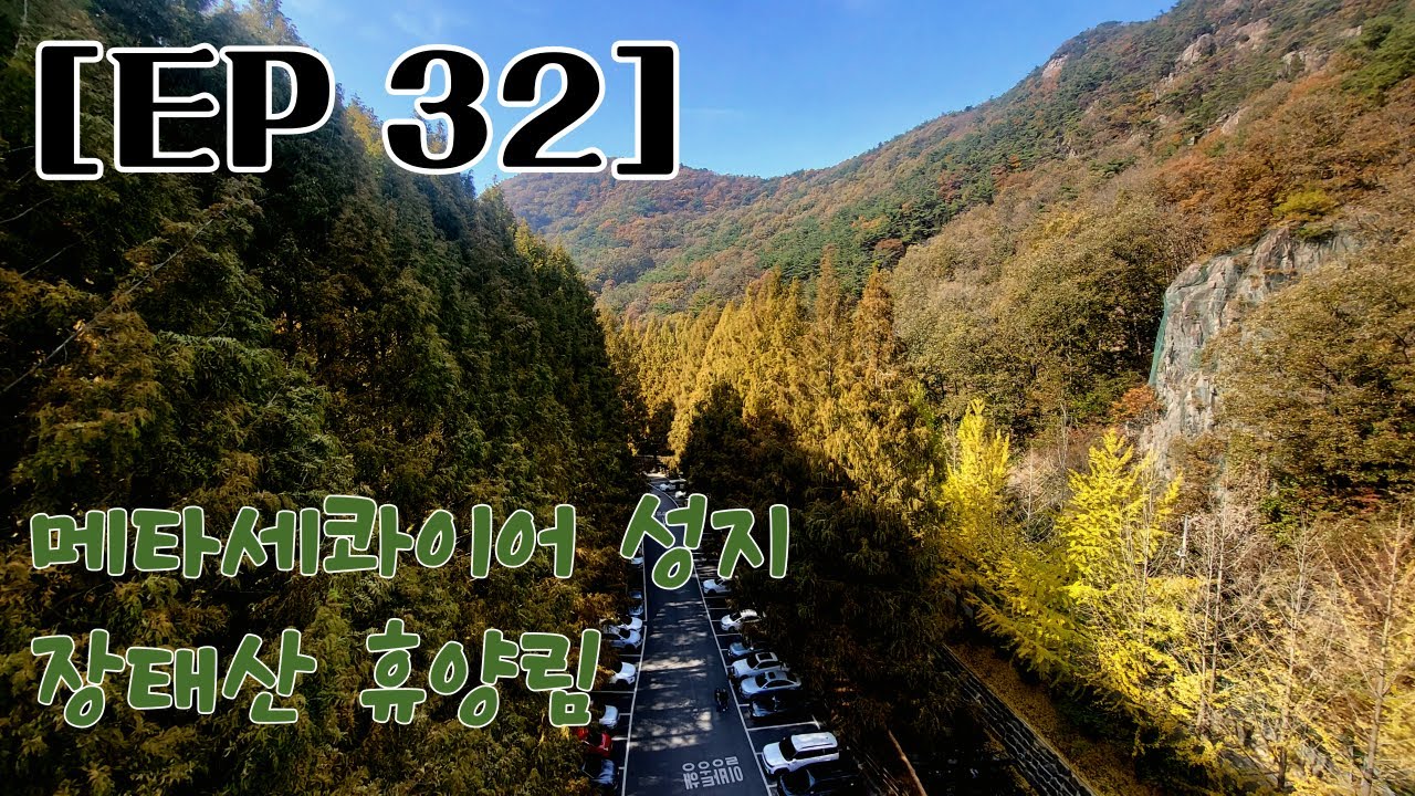 [바이잭 EP32] 장태산휴양림으로 단풍구경 l 메타세콰이어 l 스카이타워 l 대전라이딩 l 브이스트롬250 l 애기부리 l