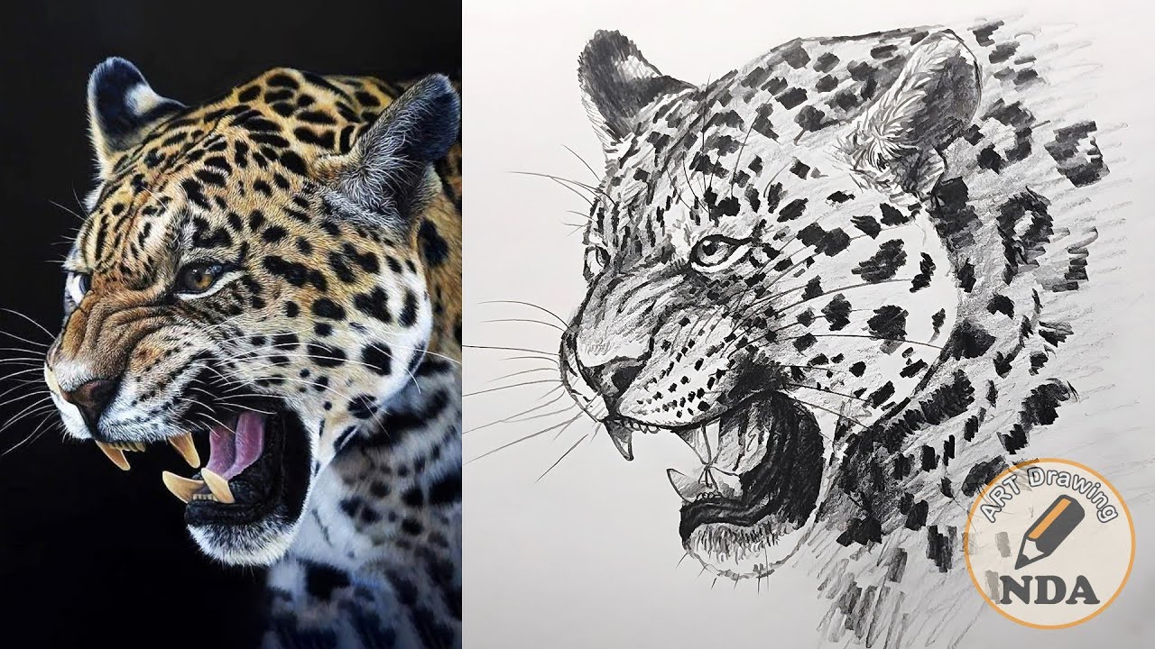 HOW TO DRAW A LEOPARD - ART DRAWING NDA