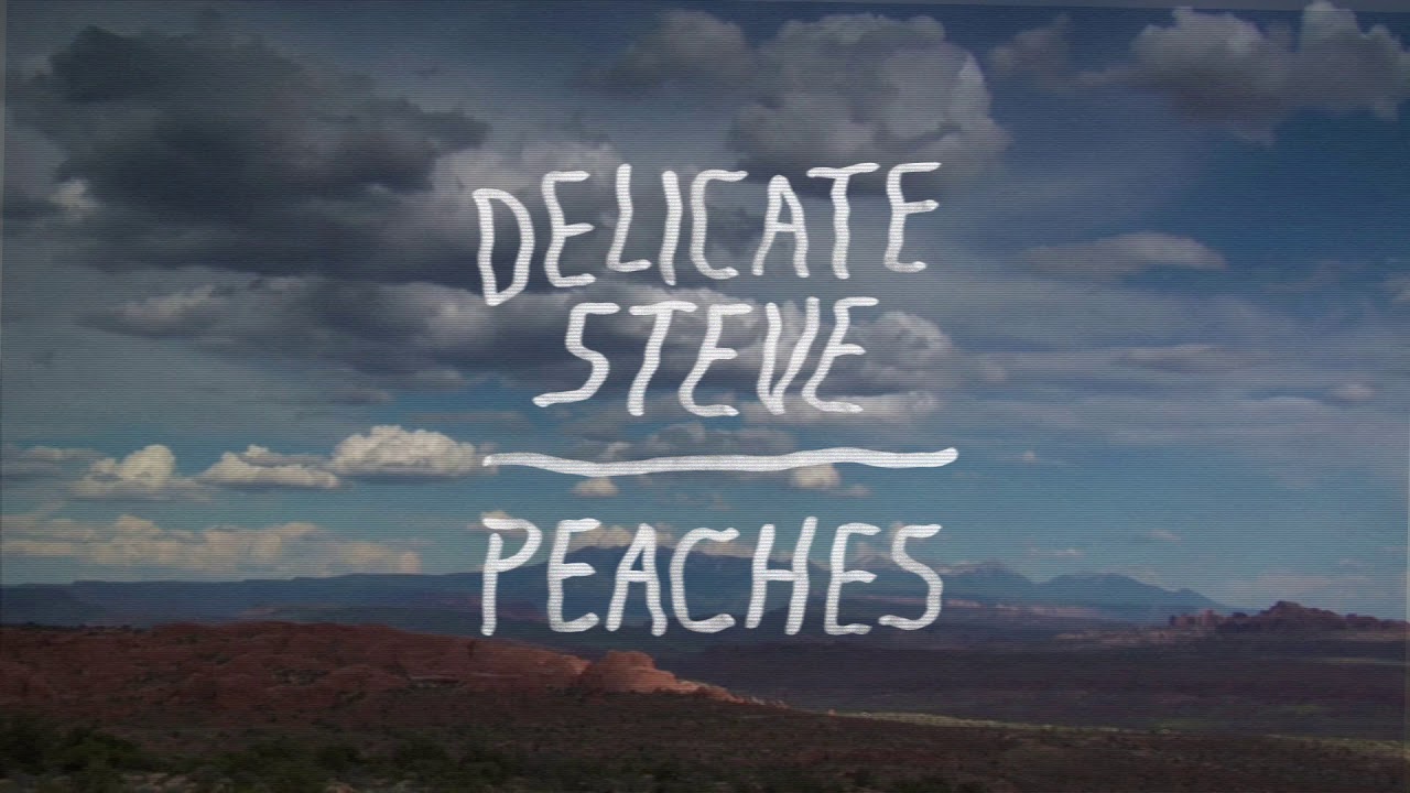 Delicate Steve - 