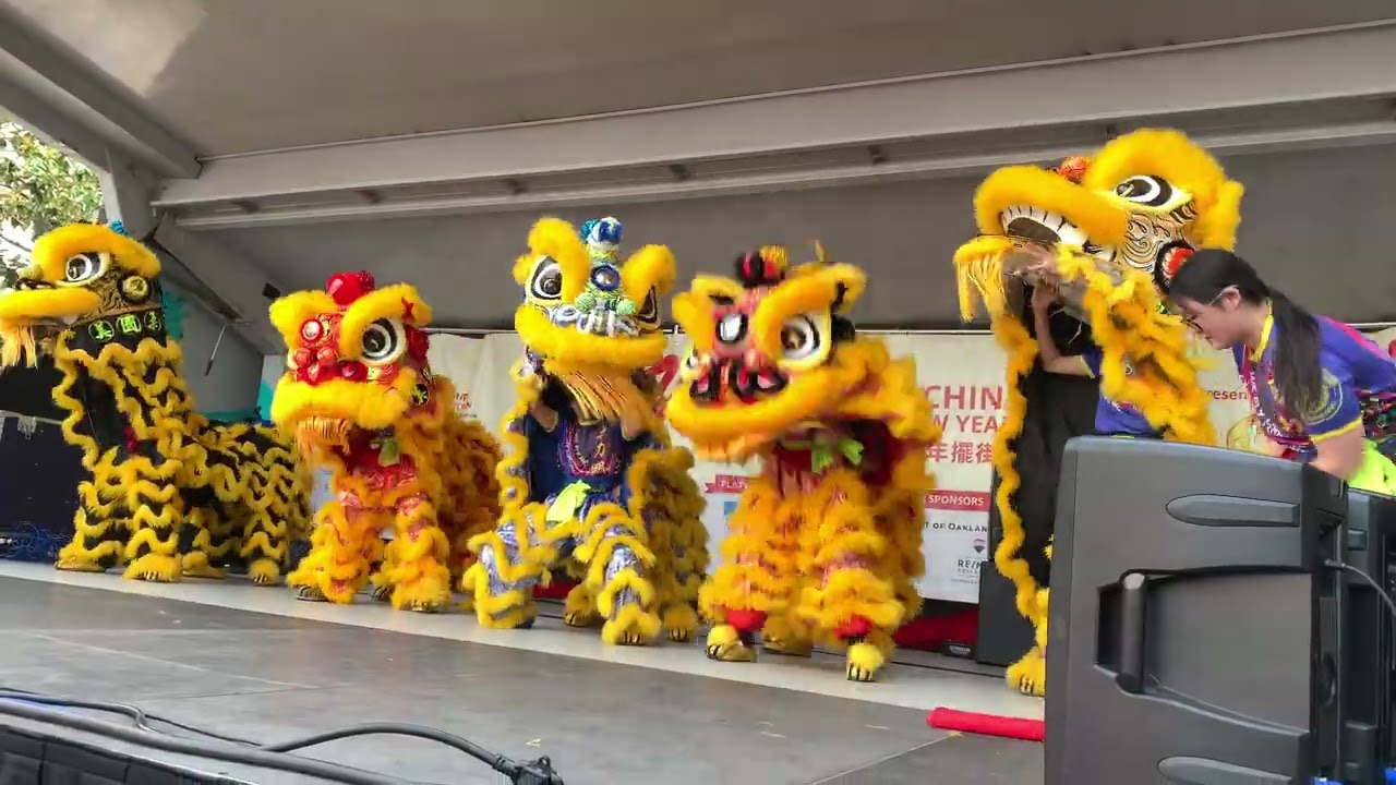 屋崙埠農曆馬年擺街會, Oakland Chinatown Lunar New Year Bazaar 1-31-2026 3/5. Video by Meelie Tang