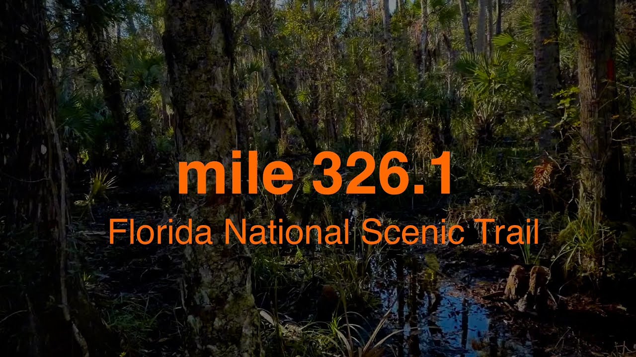Florida National Scenic Trail: mi 326.1 - 337