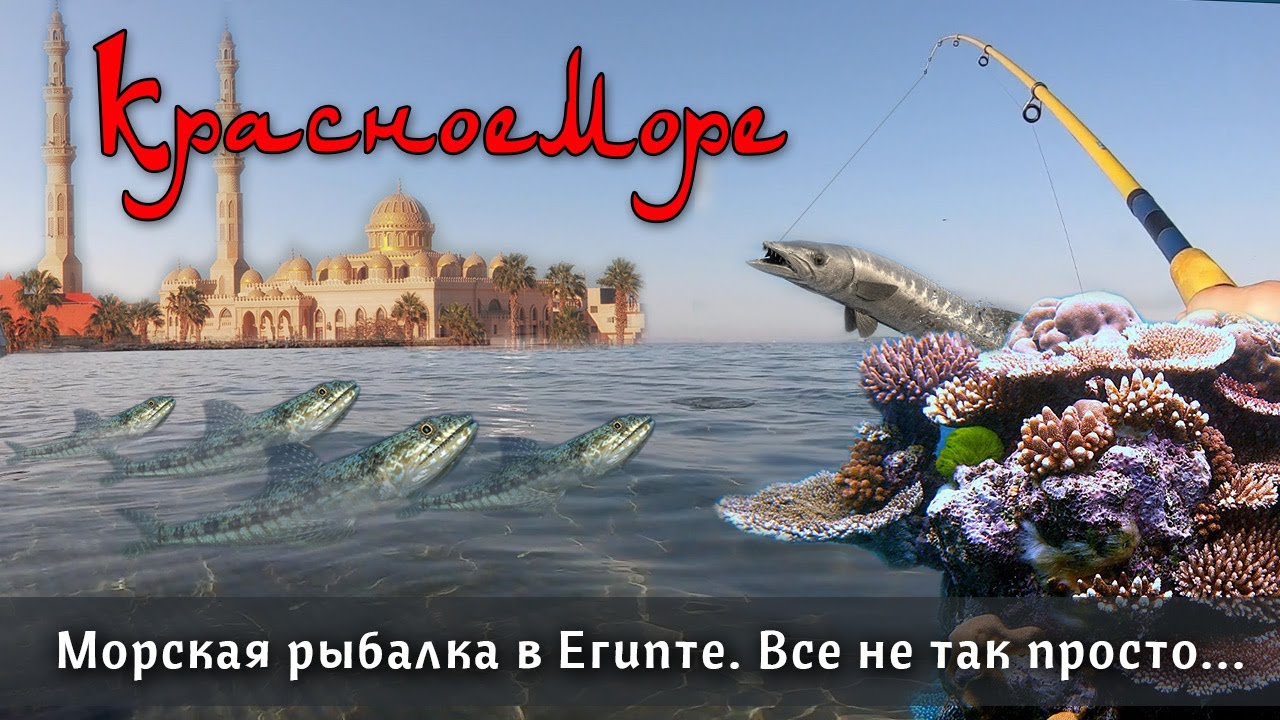 Рыбалка на Красном море в Египте. Первый опыт ловли с берега. Отпуск в Хургаде 2021.