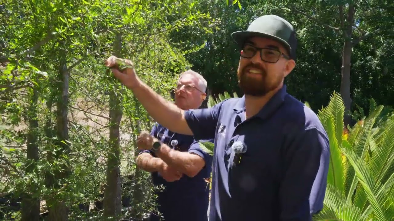 From Seed To Insane Succulent Bonsai - With Al and Anthony from Botanic Wonders