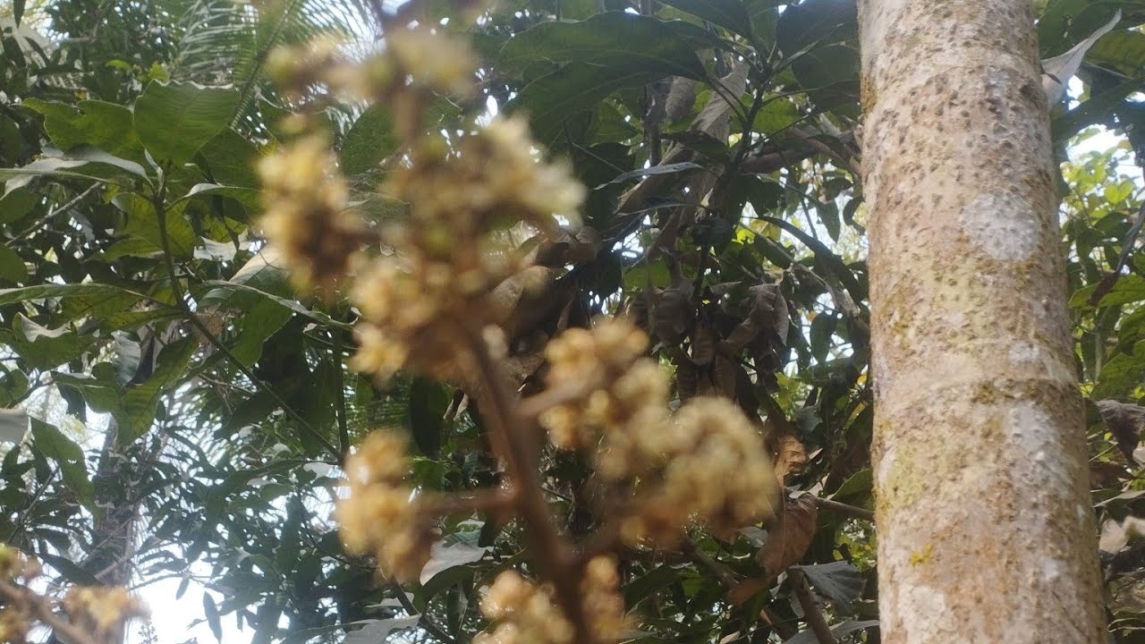 রান্নার ভুবন  is live