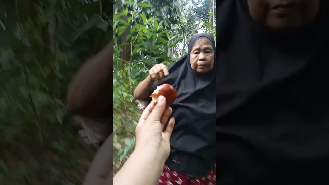 Panin jengkol@burhanibnumurat3934 