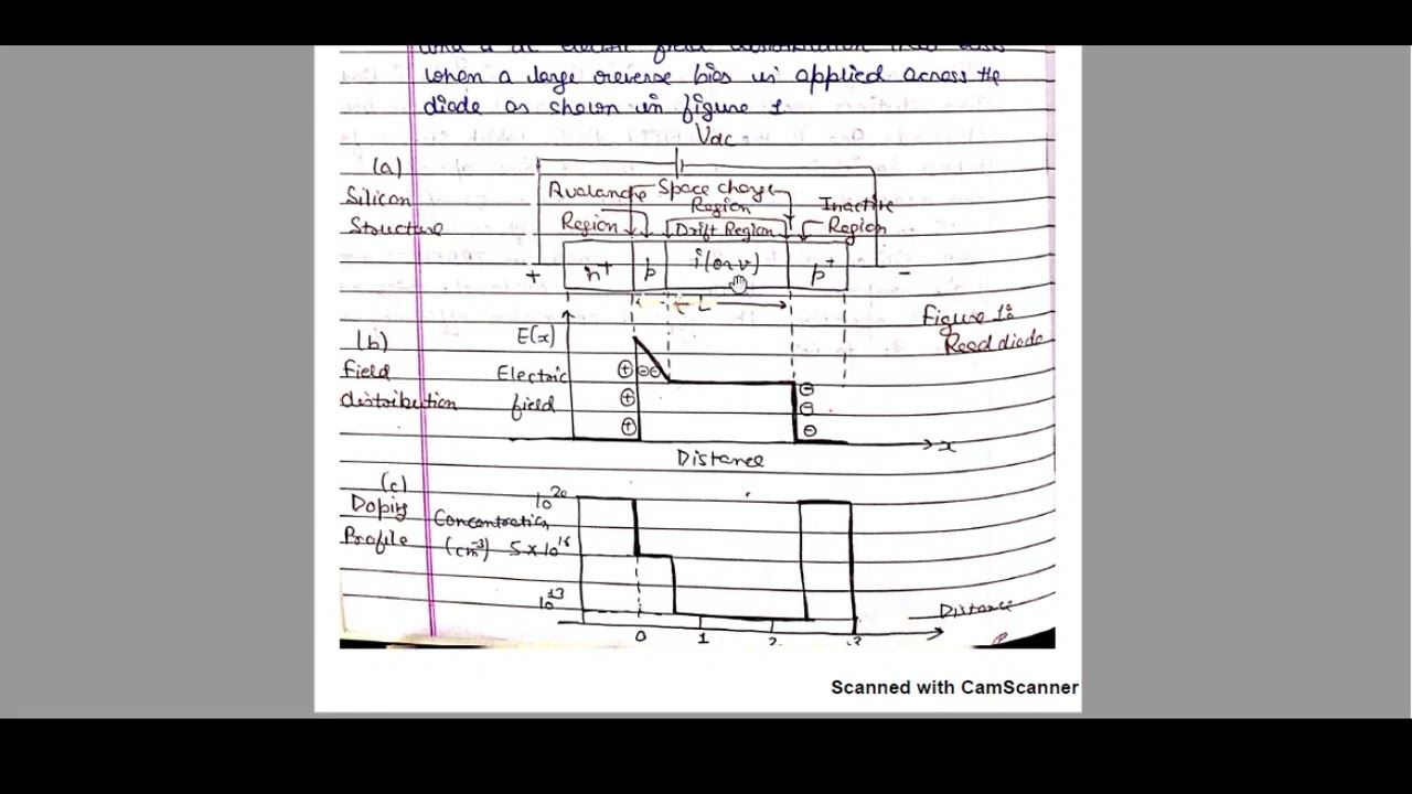 Read Diode: Physical Description