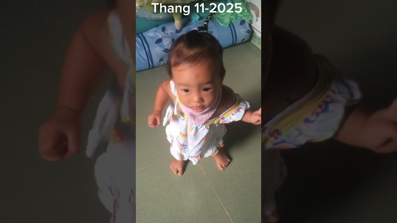 Nhã Uyên- Nhã Đan 11-2025