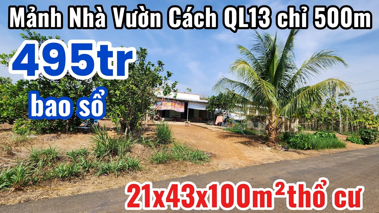 S.75.Nhà Vườn Cách QL13 chỉ 500m xung quanh tiện ích (21x43x100m²thổ cư)=1054m²giá 495tr bao sổ 