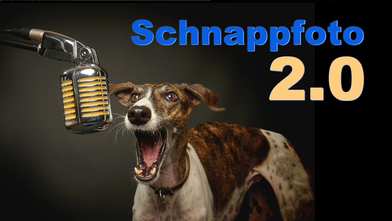 Schnappfoto 2.0 - Hunde Schnappbilder neu Interpretiert