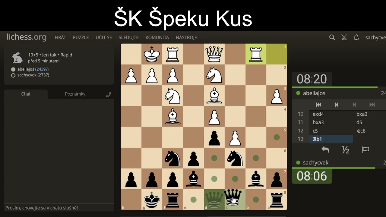 ŠK ŠK Jak přemýšlí velmistr pořádná partie se vším všudy.