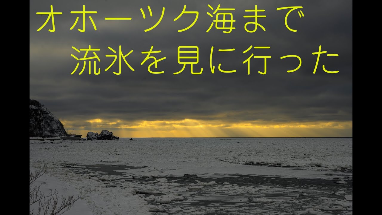オホーツク海まで流氷見に行った　2026年2月7日～8日