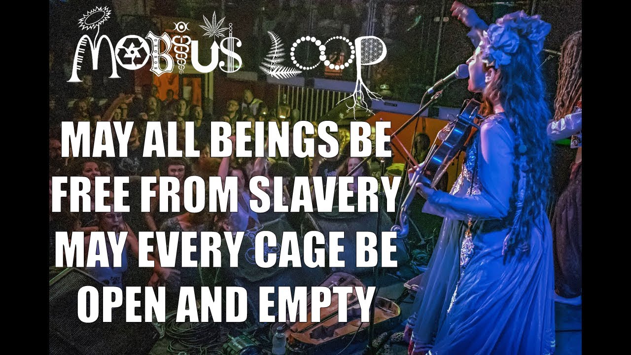 Mobius Loop - May All Beings Be (Official Music Video)