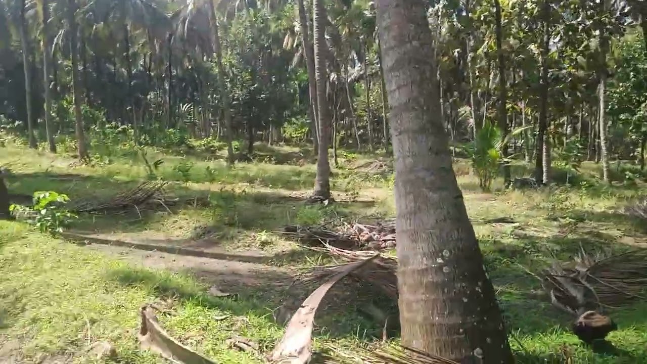 2.acre Land for sale PALAKKAD chittur per 50 lakh negotiable 7902693276