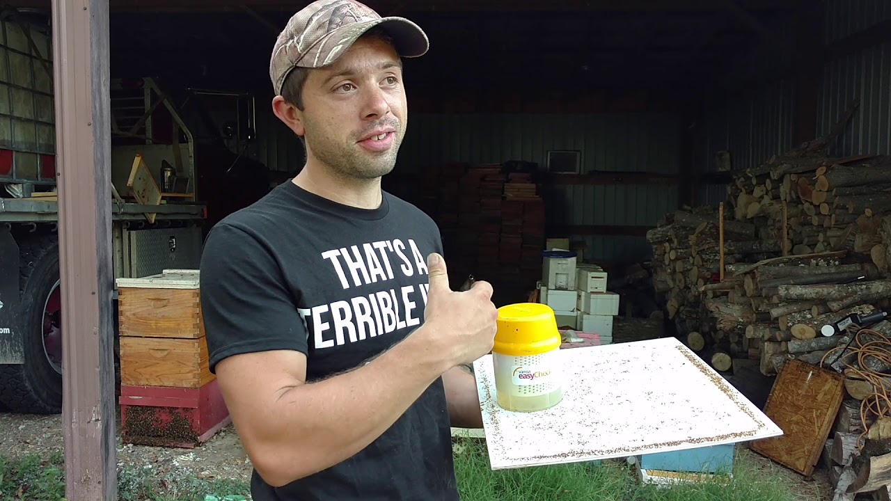 🔵Testing Oxalic acid vapor on a hive with a 33% infestation! 5 treatments in 21 days will it work?