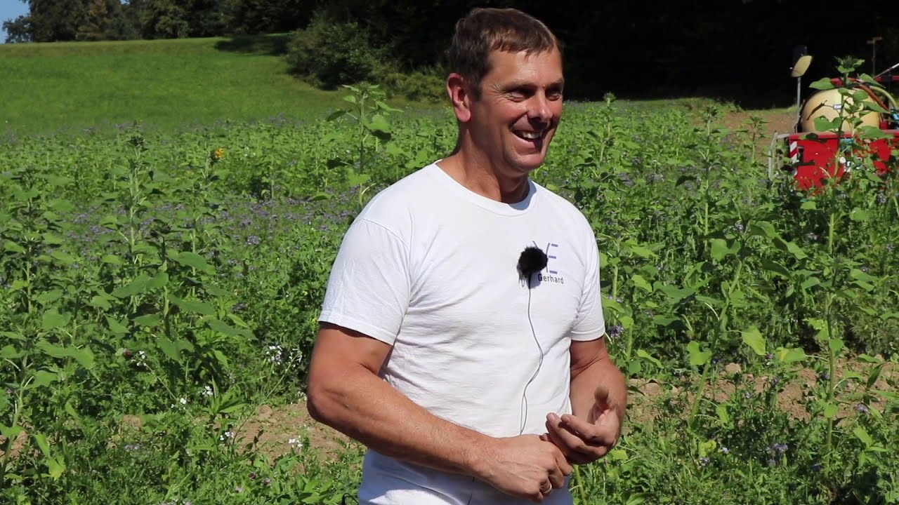 Flächenrotte - Feldtag mit Gerhard Weisshäupl