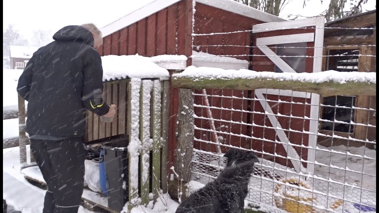 LEVEN IN ZWEDEN   ochtendroutine in de winter