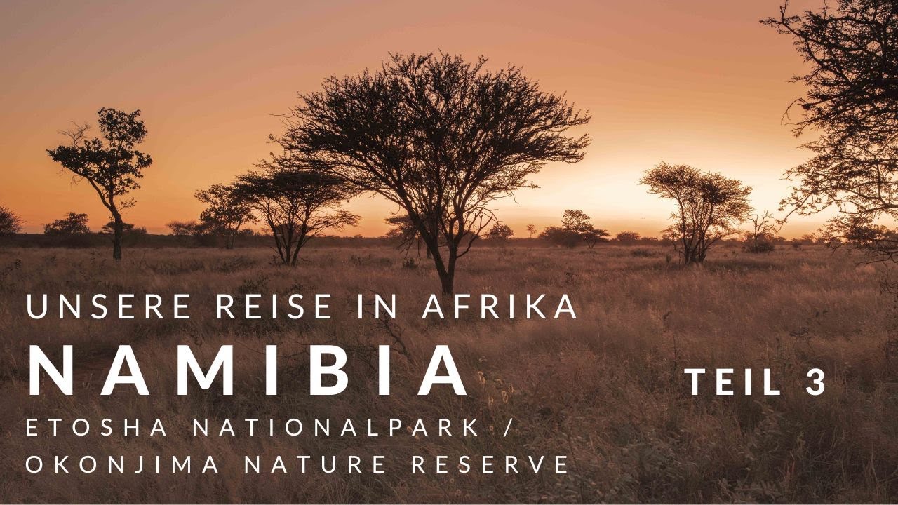 Namibia Teil 3 - Etosha Nationalpark - Okonjima Nature Reserve - Tierwelt