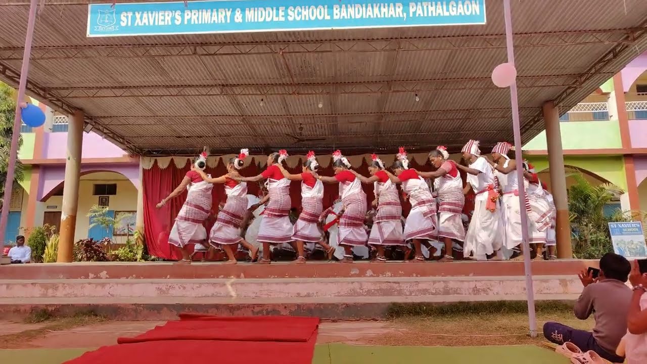 Karam Dance Pathalgaon / करम नाच पत्थलगाँव @AnujBaraTipsAndVlogs #dance #traditional #culture 