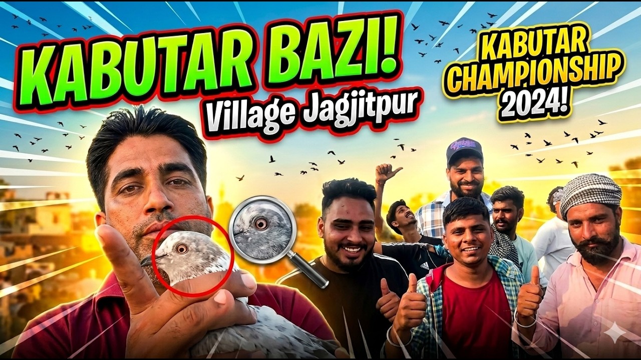 Kabutar Bazi in Jagjitpur Village | Desi Pigeon Competition Punjab Style