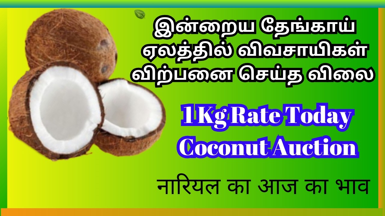 இன்று தேங்காய் ஏலத்தில் விவசாயிகள் விற்பனை செய்த விலை | 05-03-2026 Coconut Rate Punjai Kaalamangalam