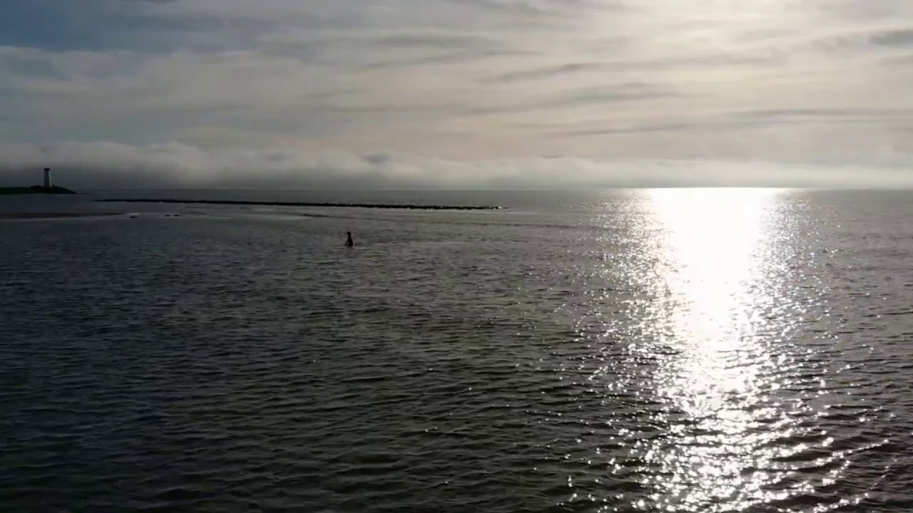 LA TAMARISSIÈRE Dec 2020