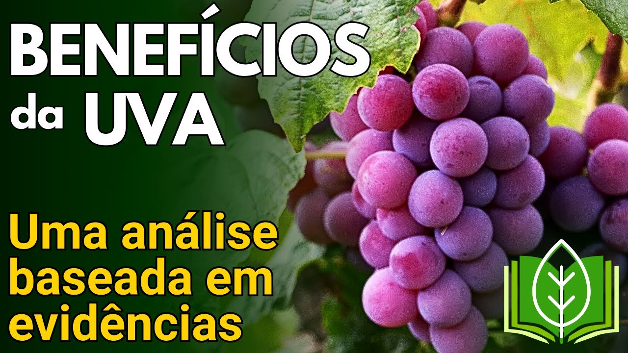 Uva (Vitis vinifera): Uma Farm&aacute;cia Completa &ndash; de Cardioprotetor a Neuroprotetor | Plantas Medicinais