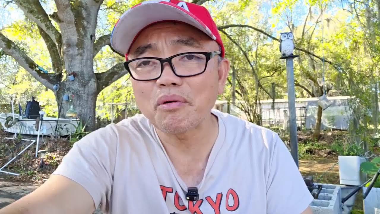 Live streaming of BƯỚC CHÂN HOÀ HẢO