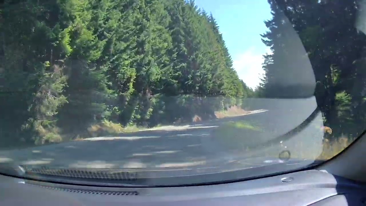 20250727 113823 000063 #olympicnationalpark #seattle