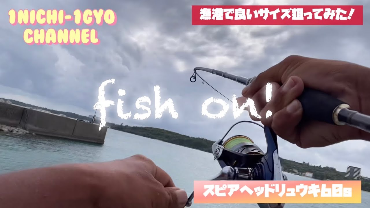 『1日1魚チャンネル』デカイ魚が釣りたいから漁港で釣りしてみた！#沖縄ルアー釣り #沖縄ルアー #ルアーフィッシング #ライトゲーム