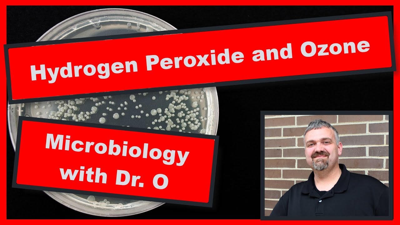 Hydrogen Peroxide and Peroxygens:  Microbiology