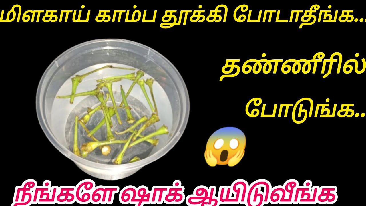 அடியாத்தி இது தெரியாம குப்பையில போட்டுட்டோமே!!#kitchentips#kitchenhack#tips