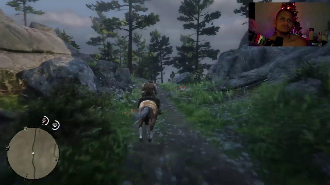 Pedrão joga - Red Dead Redemption 2 #23
