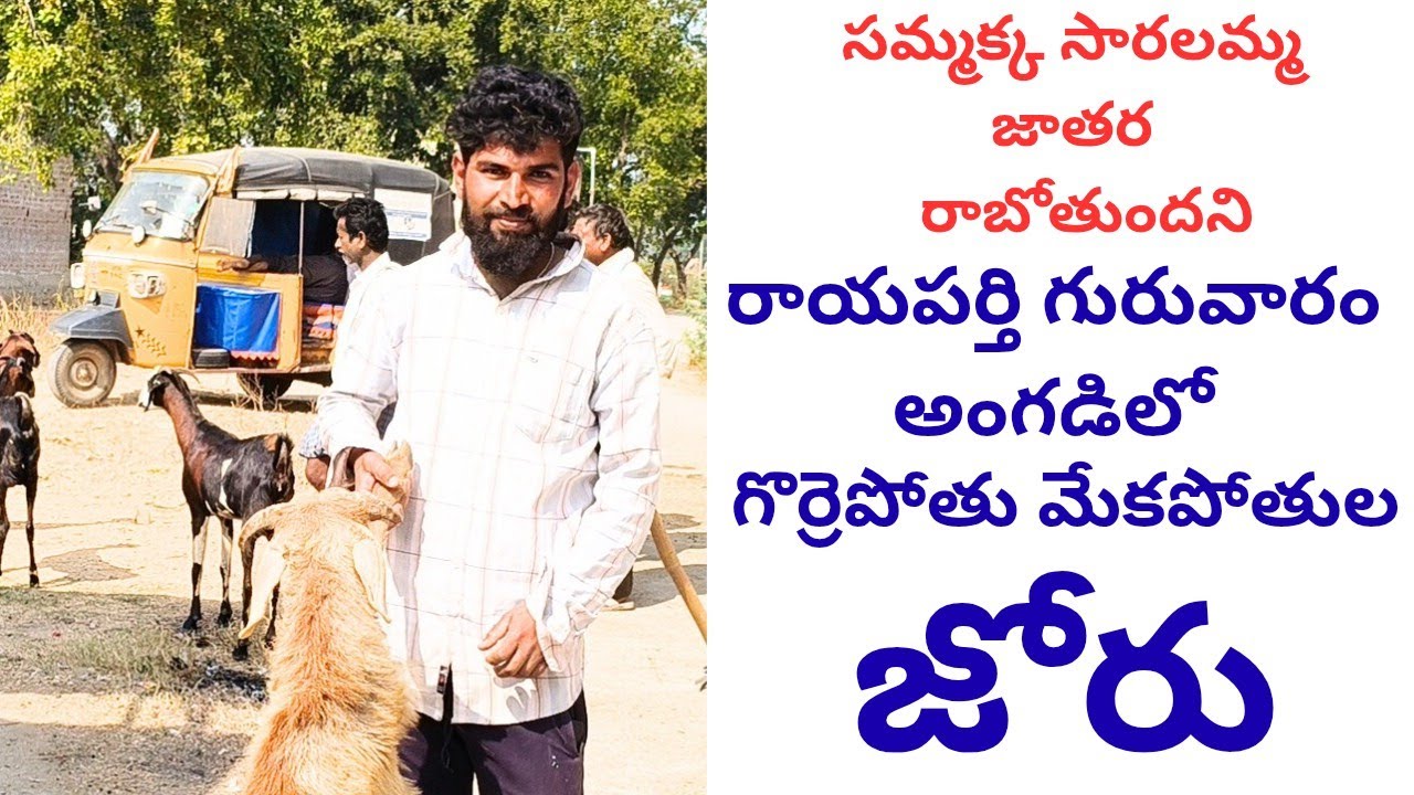 #rayaparthy #market #warangal #trending #vedeoviral 