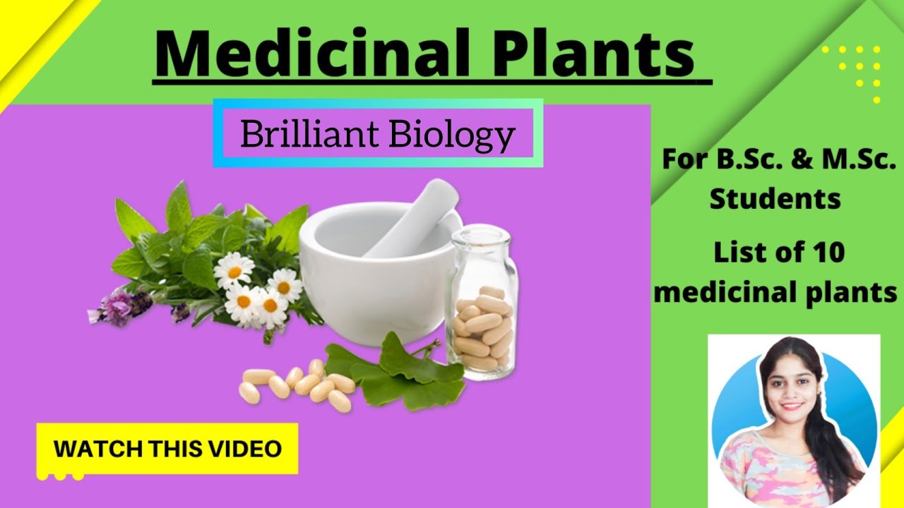 Medicinal plants in Botany | Ethnomedicine | Ayurveda plants in botany | Bsc Msc Botany Course