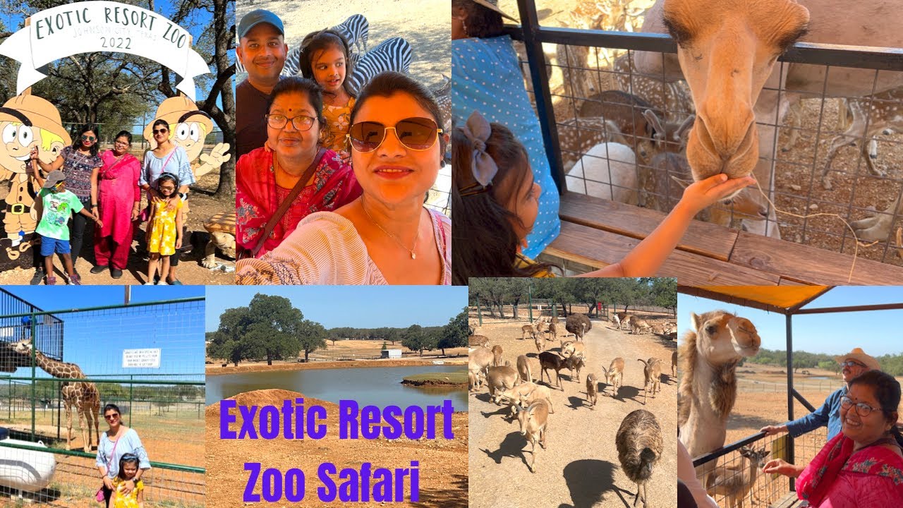 Exotic Resort Zoo Johnson City (Texas) | Fun With Family |Animal 🦓 🦒 Feeding | So Much Fun | Vlog