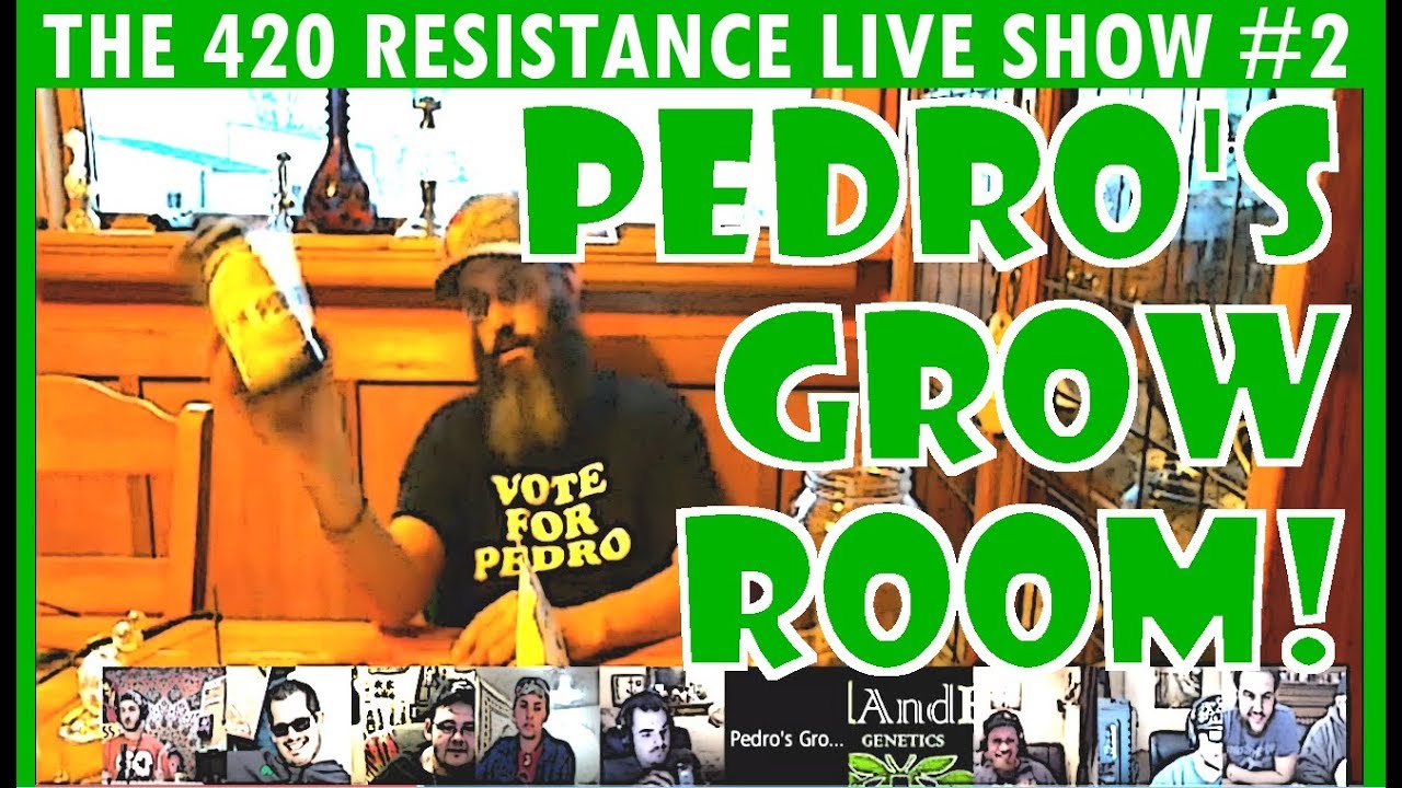 The 420 Resistance Live Show #2 - Pedro's Grow Room!